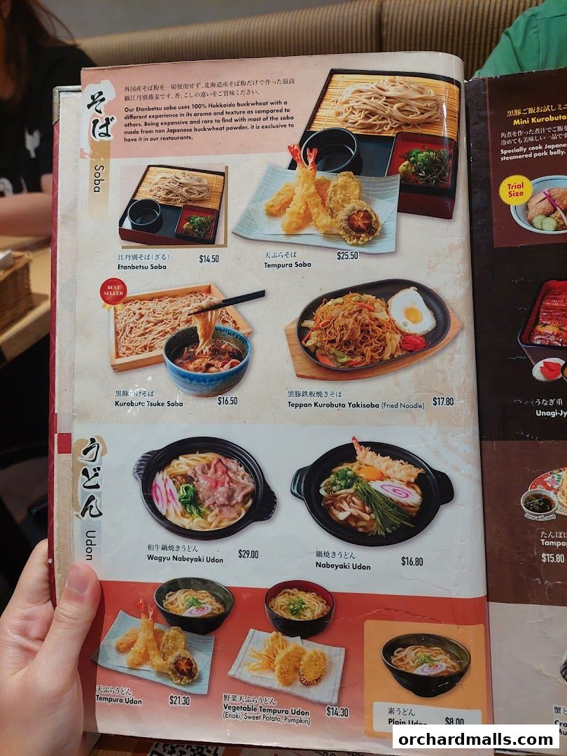 A menu page showcasing various Soba and Udon noodle dishes with prices and descriptions.