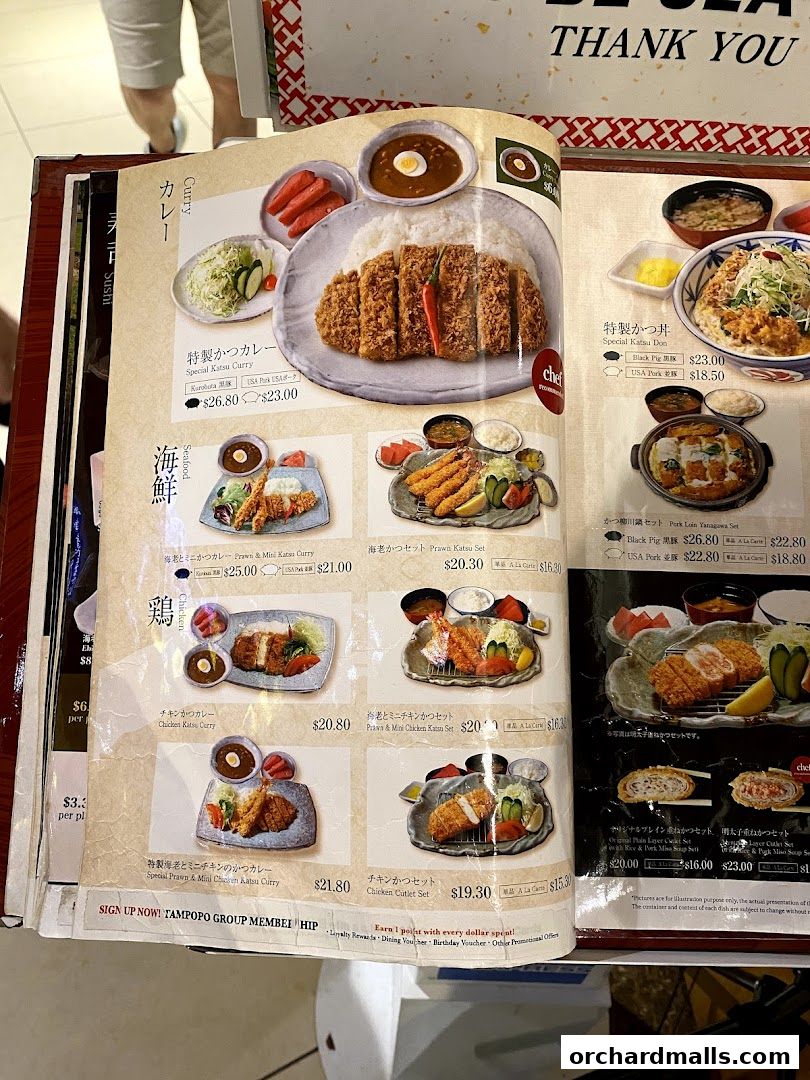 A menu from Tampopo restaurant showcasing various Japanese curry and katsu dishes with prices.