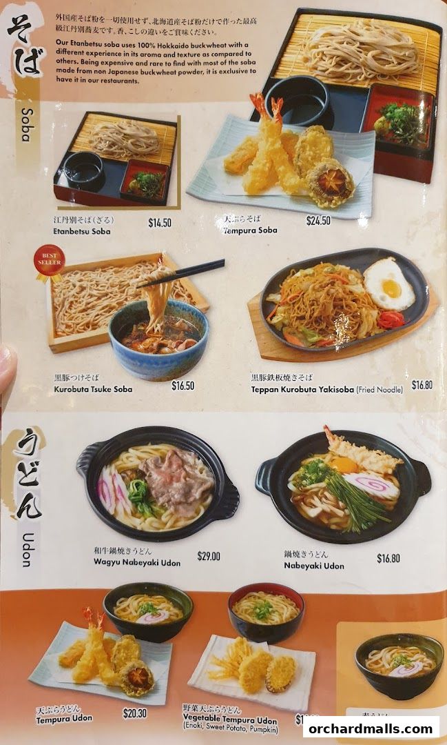 A menu page showcasing various Soba and Udon noodle dishes with appetizing food photography.