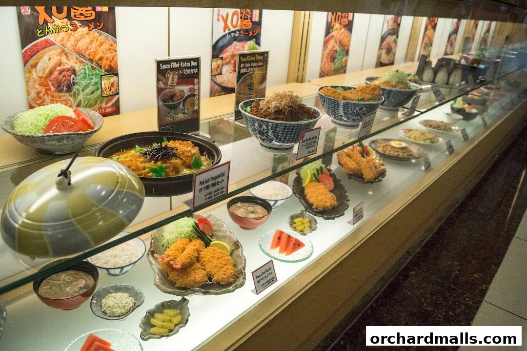 A display case showcasing realistic food models of Japanese dishes, including ramen, katsu, and rice bowls.