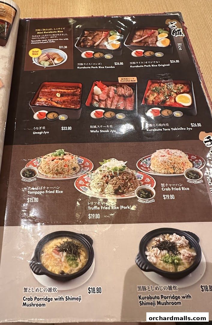 A menu page showcasing various Japanese rice dishes, fried rice, and porridges with prices.