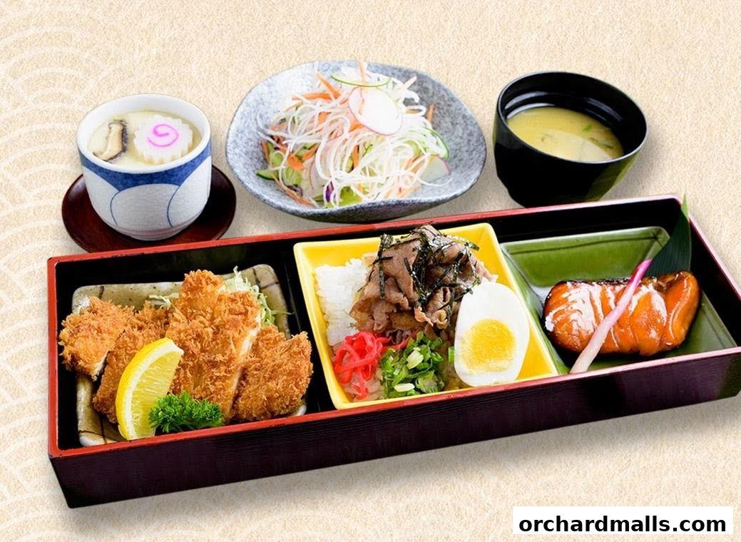 A bento box meal featuring katsu, rice with beef, egg, and grilled fish, served with soup and salad.