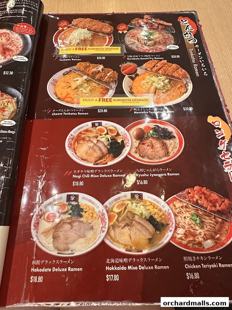 A menu featuring various ramen dishes and tonkatsu options with prices.