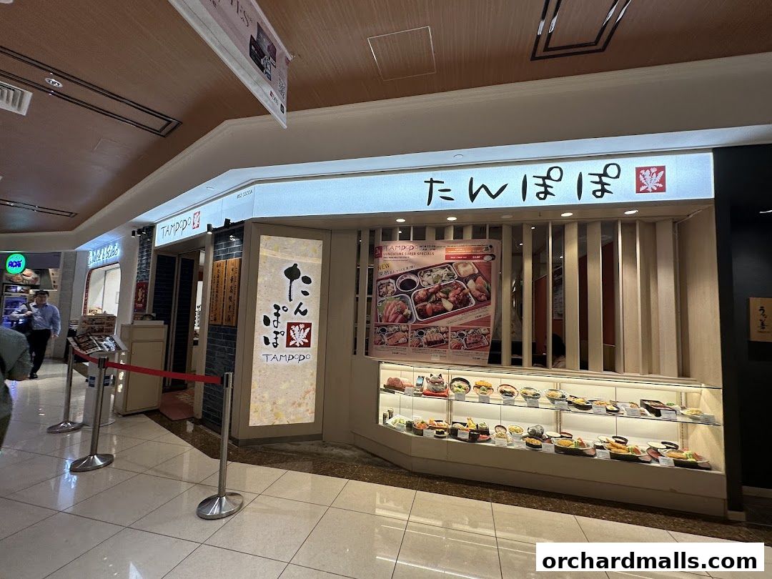 The exterior of Tampopo, a Japanese restaurant, with a display of food models in the window.