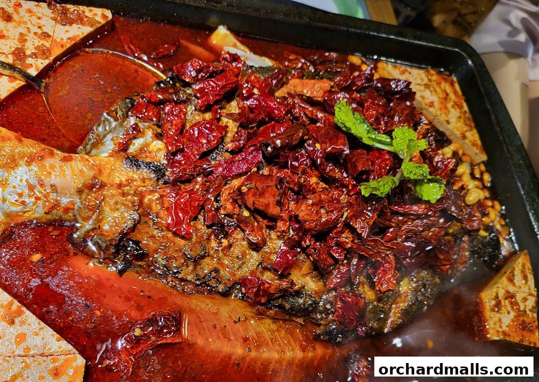 探鱼烤鱼 - TANYU 313somerset