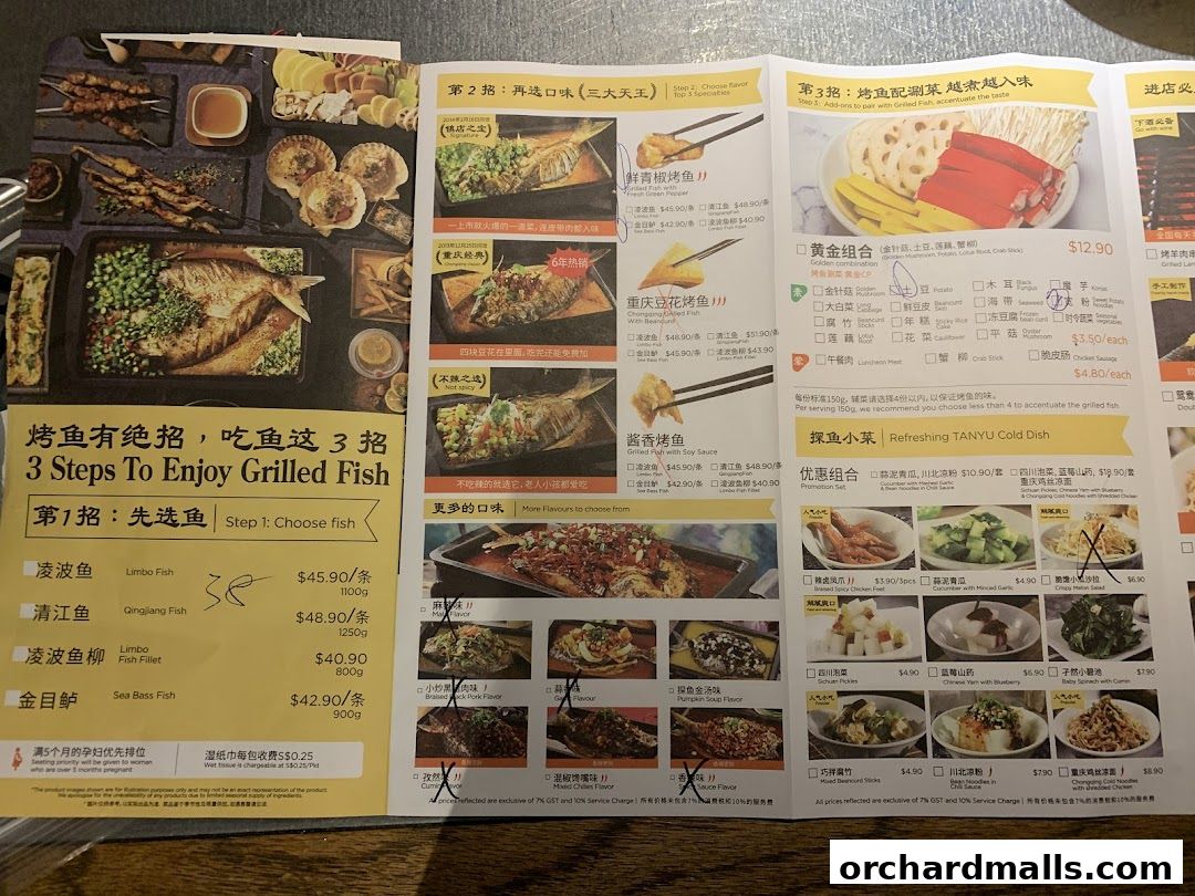 探鱼烤鱼 - TANYU 313somerset