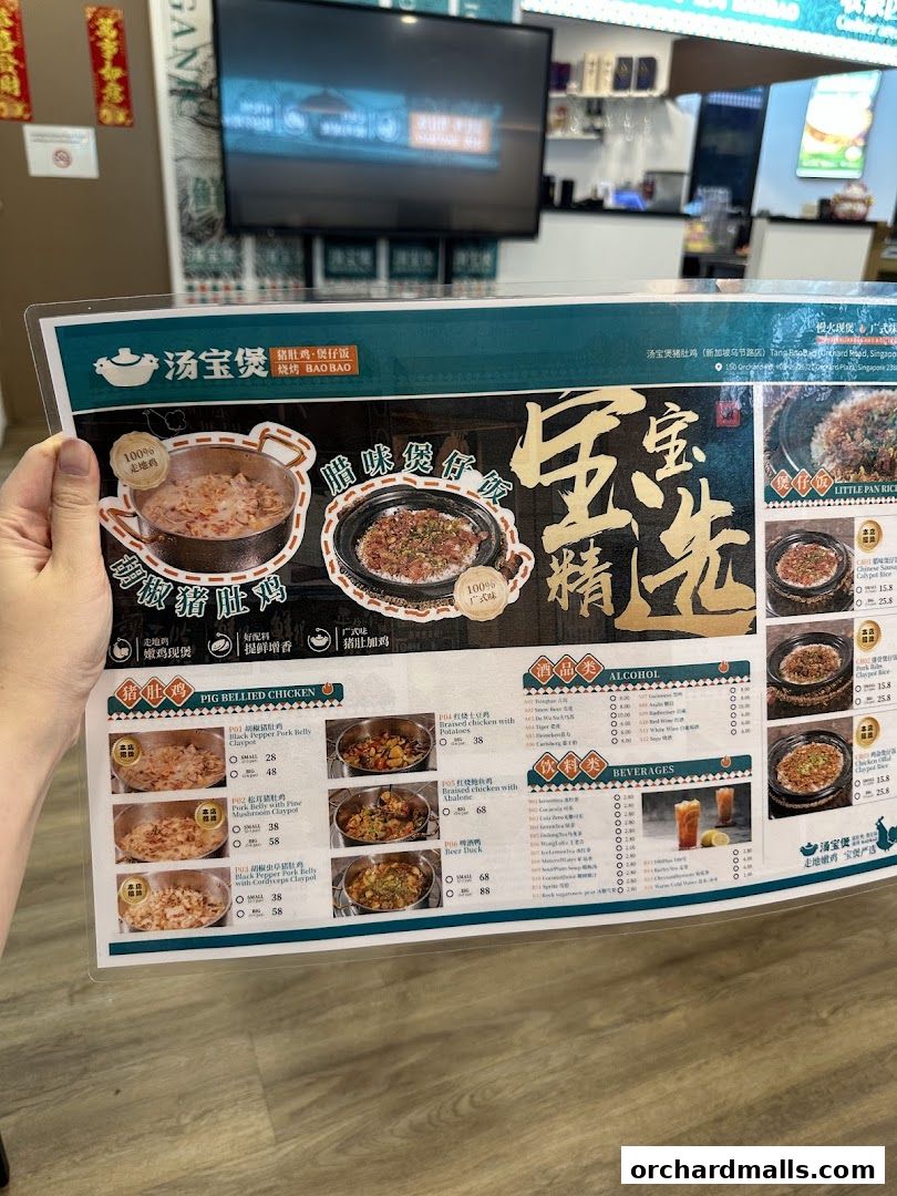 A person holds a menu for TangBaoBao, showcasing various dishes like pig belly chicken and claypot rice.