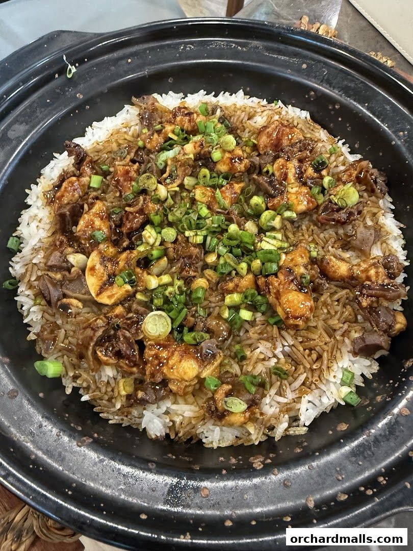 A close-up of a clay pot filled with rice, chicken, and vegetables, garnished with scallions.