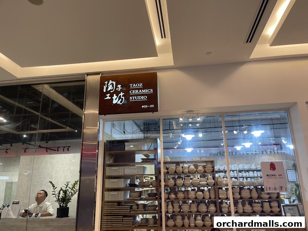 Taoz Ceramics Studio