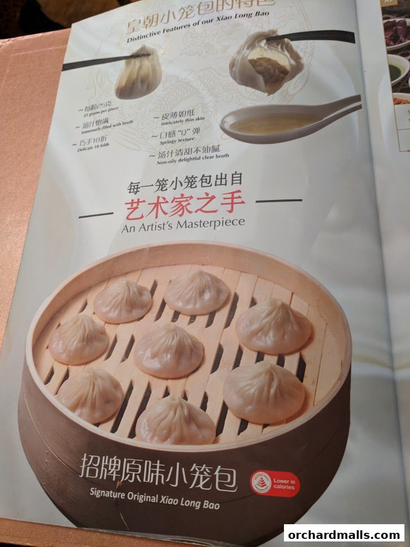 A menu page showcasing the distinctive features of Xiao Long Bao, with detailed descriptions and images.