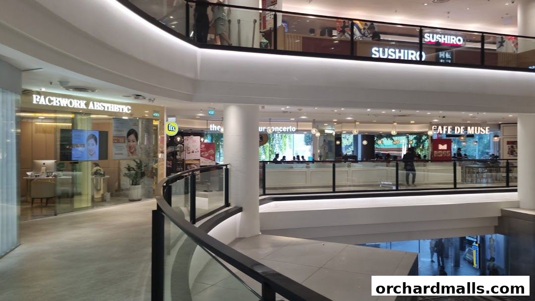 tcc - The Connoisseur Concerto Isetan Scotts