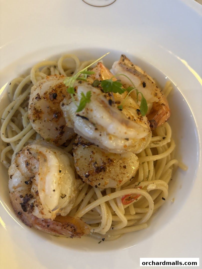 tcc - The Connoisseur Concerto Isetan Scotts