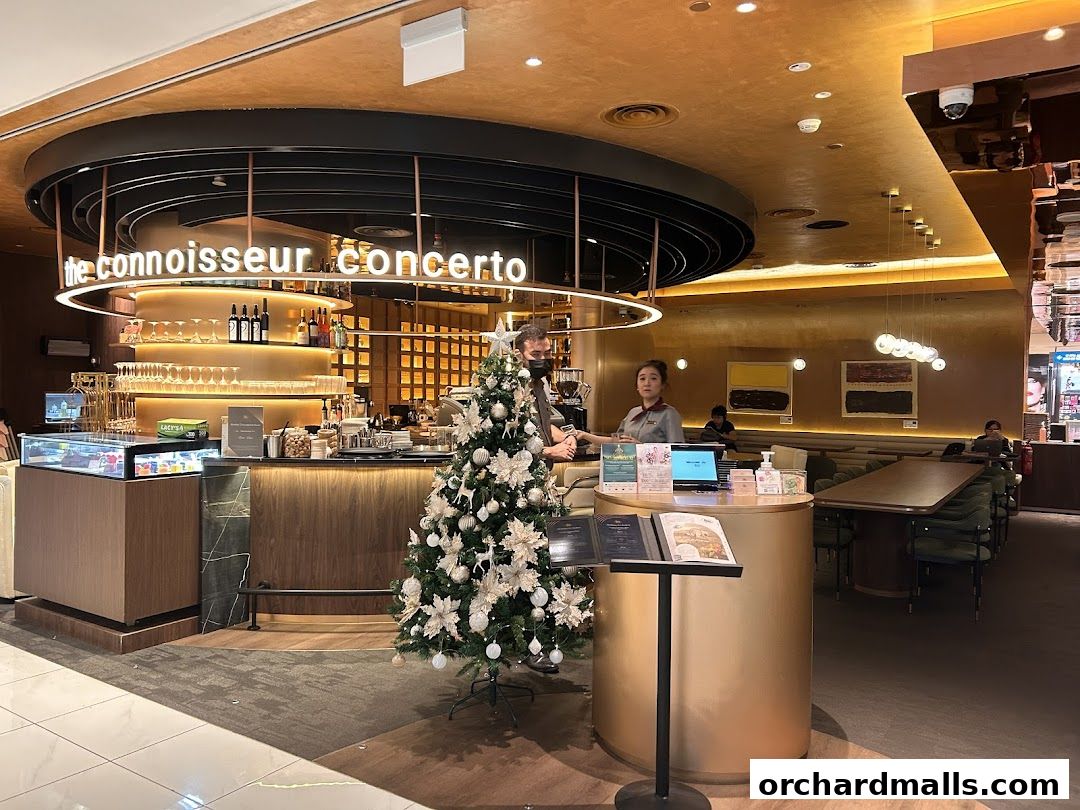 Interior of a cafe with a Christmas tree, bar, and seating area.