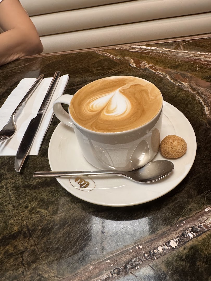 tcc - The Connoisseur Concerto