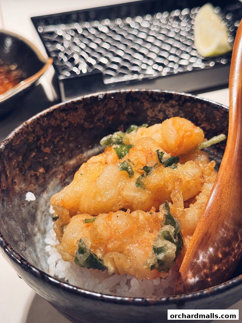 A close-up of a bowl of rice topped with crispy tempura and a wooden spoon.