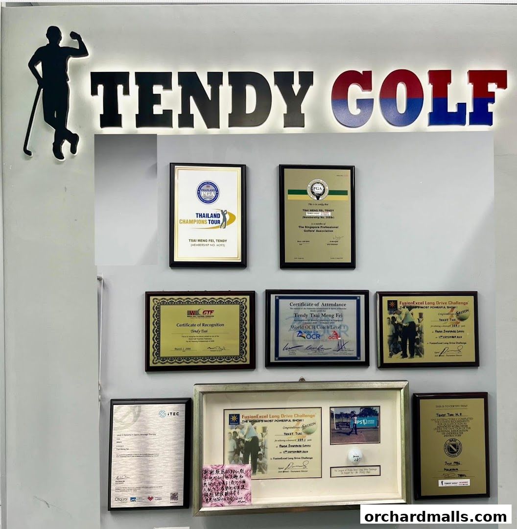 Tendy Golf Fitness