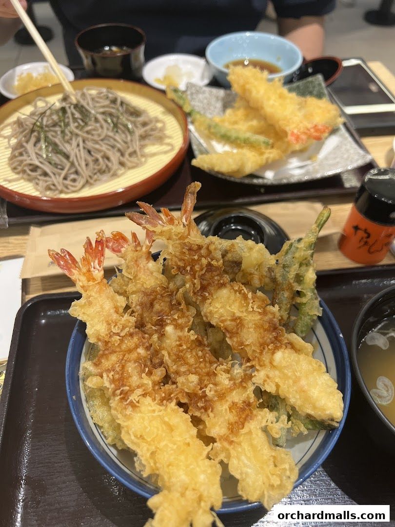 A close-up of a delicious tempura donburi and soba noodles with dipping sauce.