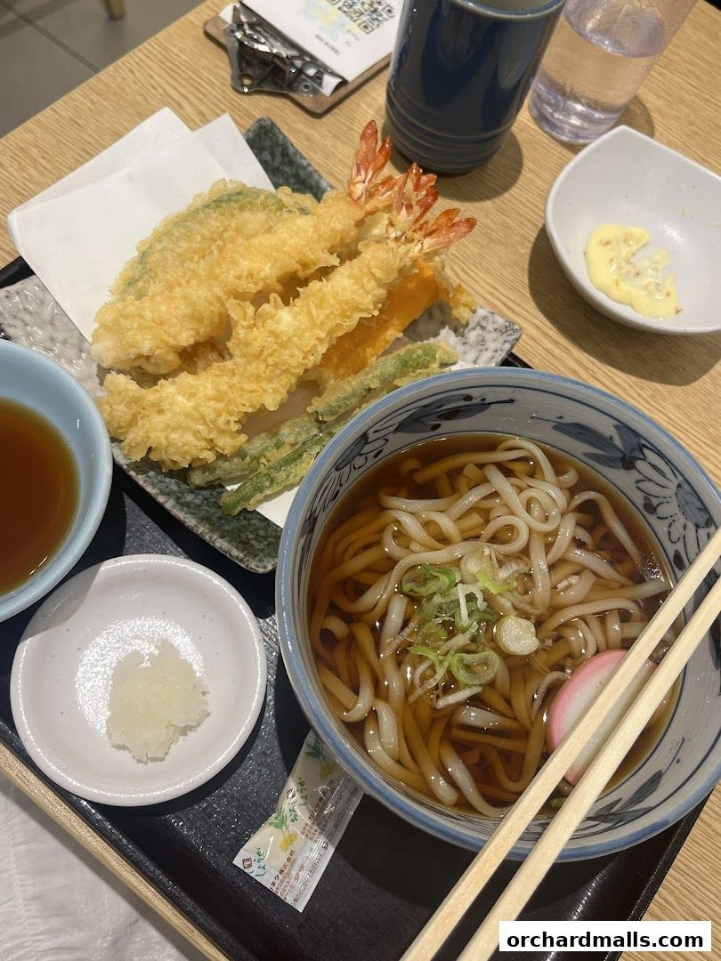 A delicious bowl of udon noodles with tempura and dipping sauce.