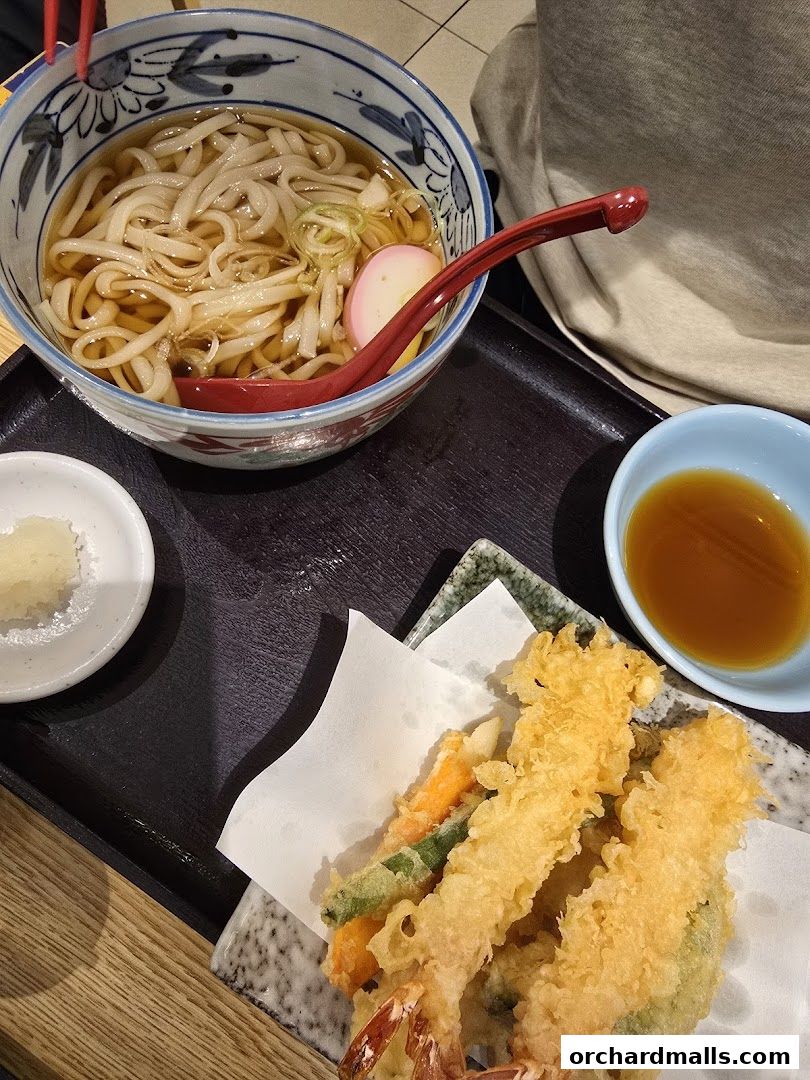 A bowl of udon noodles with tempura and a side of dipping sauce.