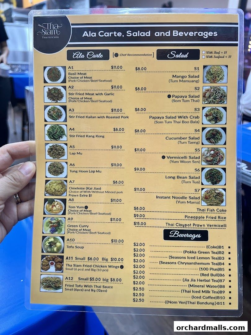A menu for Tha Siam Thai Kitchen featuring Ala Carte, Salad, and Beverages.