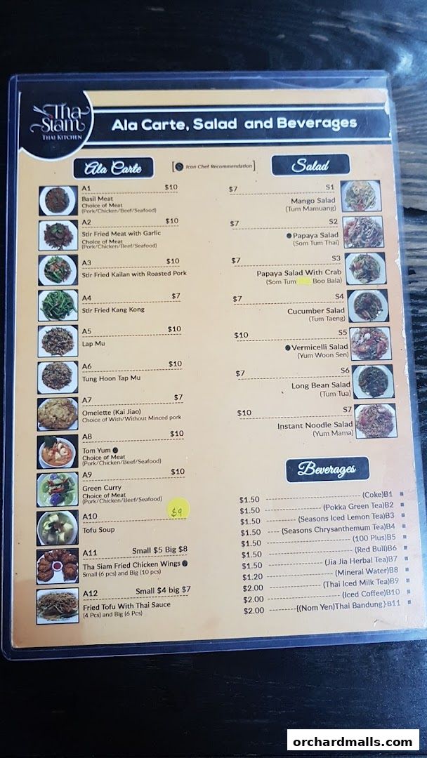 A menu from Tha Siam Thai Kitchen featuring Ala Carte, Salad, and Beverages.