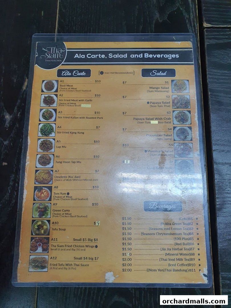 A menu from Tha Siam Thai Kitchen featuring Ala Carte, Salad, and Beverages.