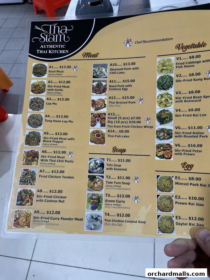 A menu from Tha Siam Authentic Thai Kitchen featuring meat, soup, vegetable, and egg dishes.