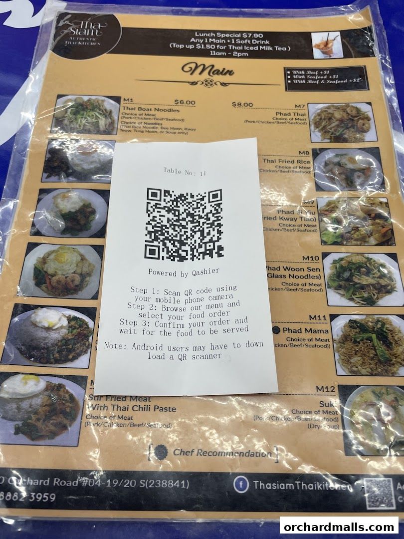 A menu from Tha Siam Thai Kitchen featuring main dishes with prices and descriptions.