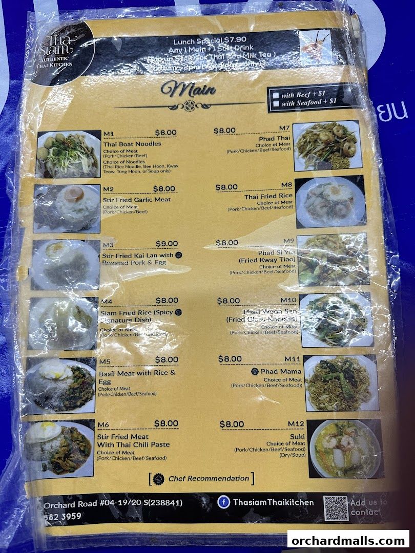 A menu from Tha Siam Thai Kitchen featuring various main dishes with prices and descriptions.