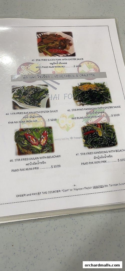 A menu page from Thai Tantric Authentic Thai Cuisine featuring various stir-fried dishes.