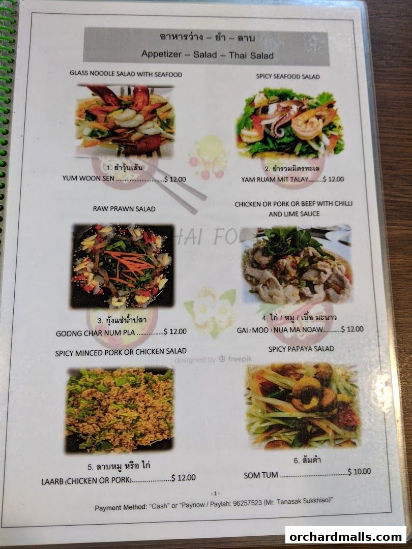 A menu page from Thai Tantric Authentic Thai Cuisine featuring appetizers, salads, and Thai salads.