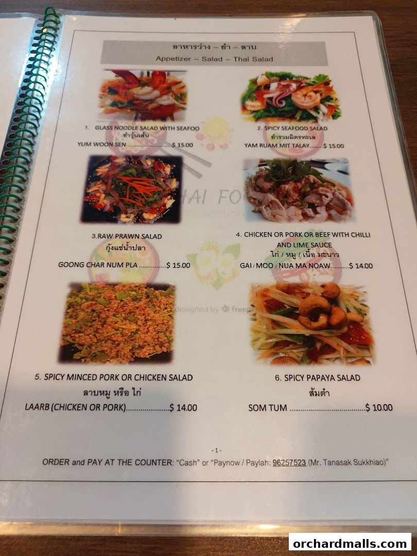 A menu page from Thai Tantric Authentic Thai Cuisine featuring appetizers, salads, and Thai salads.