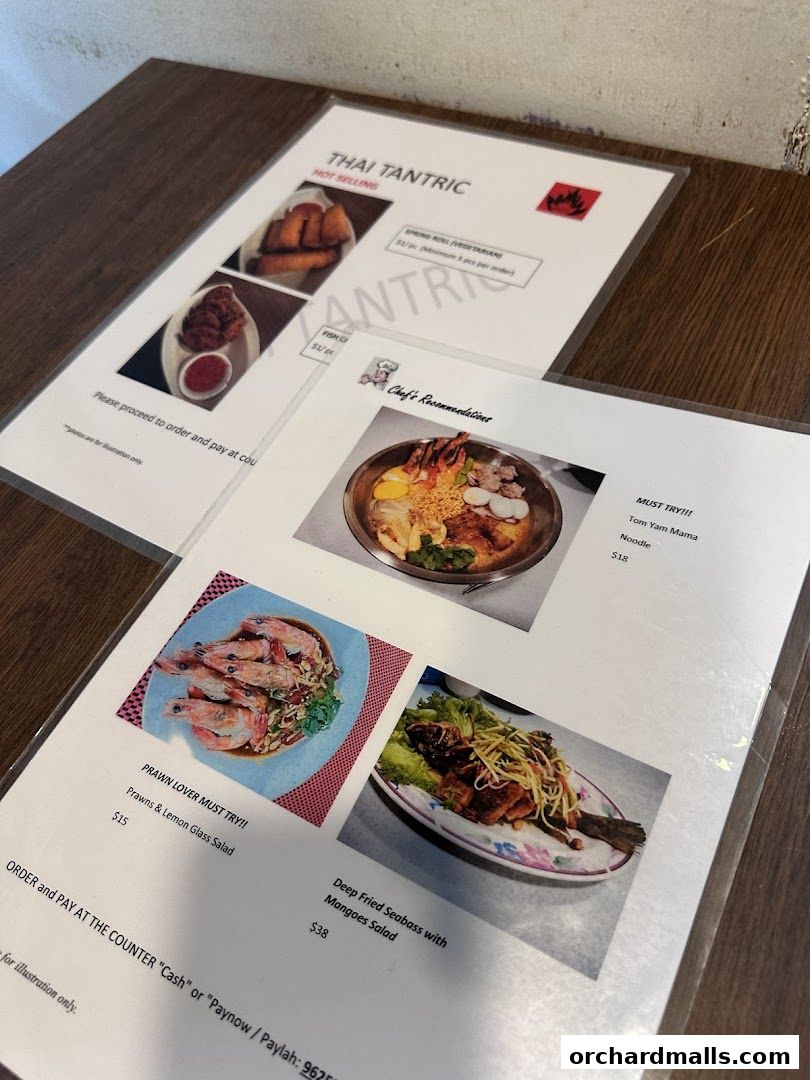 A menu from Thai Tantric Authentic Thai Cuisine featuring popular dishes and chef's recommendations.