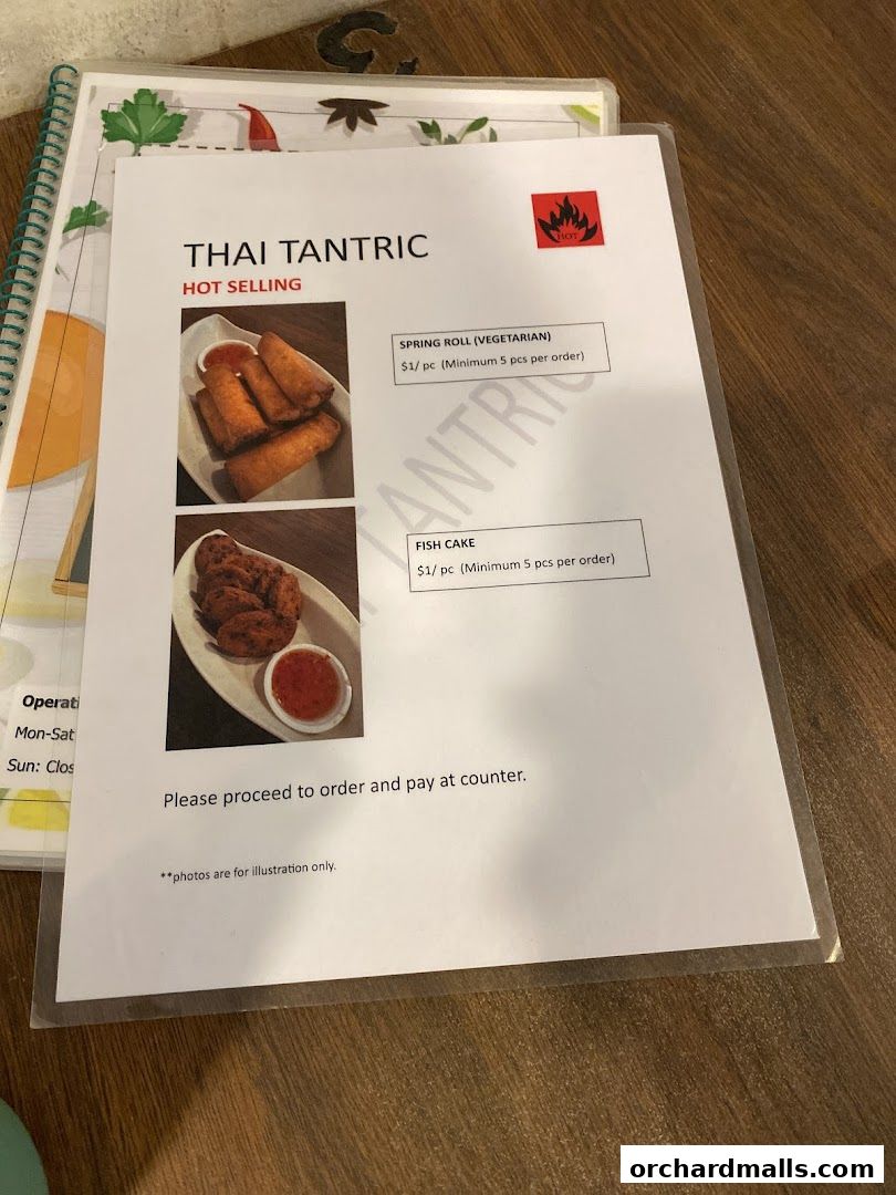 A menu from Thai Tantric featuring hot-selling spring rolls and fish cakes.