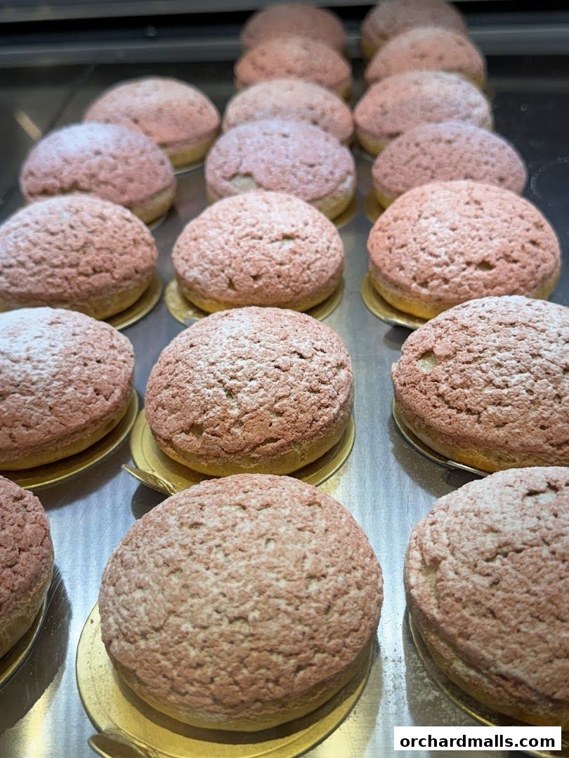 Rows of delicious-looking cream puffs dusted with powdered sugar.