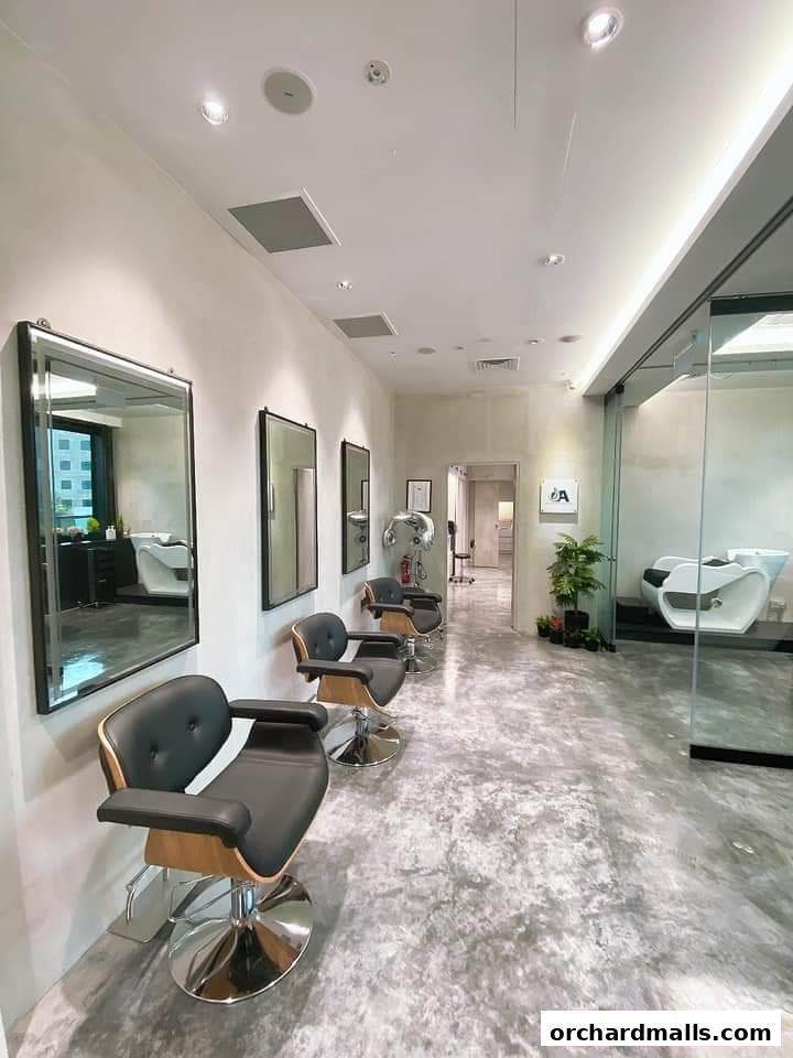 The Aesthetic Concierge