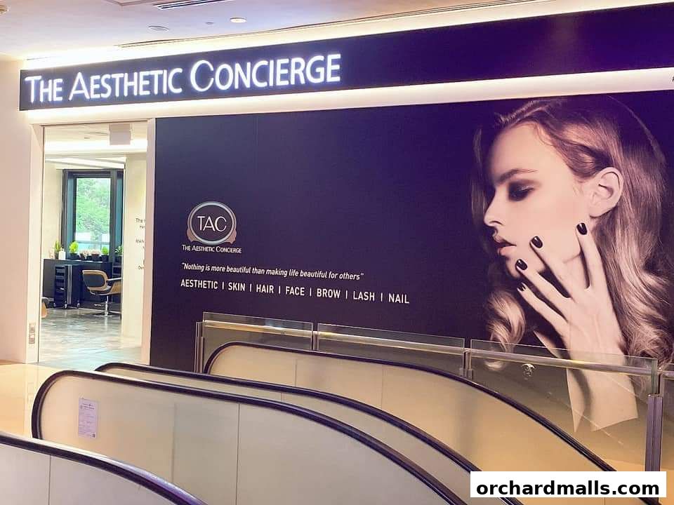 The Aesthetic Concierge