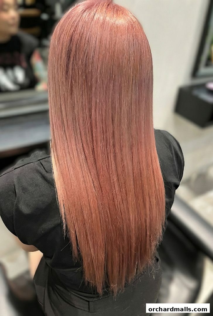 The Aesthetic Concierge