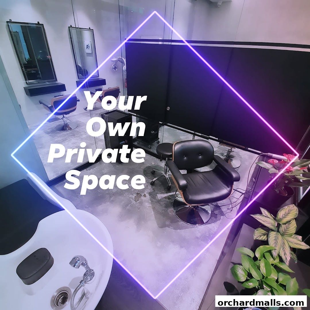 The Aesthetic Concierge