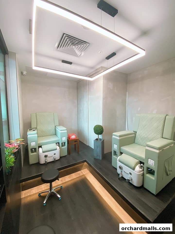 The Aesthetic Concierge