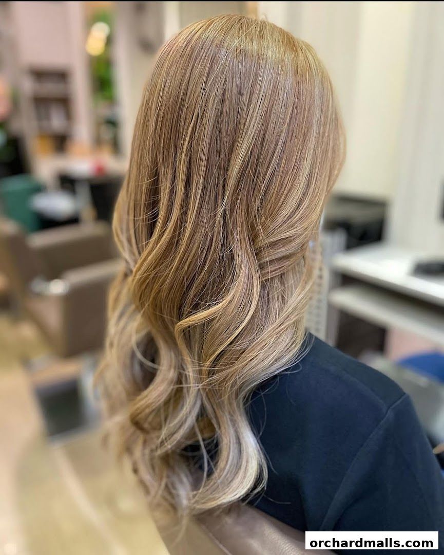 The Aesthetic Concierge