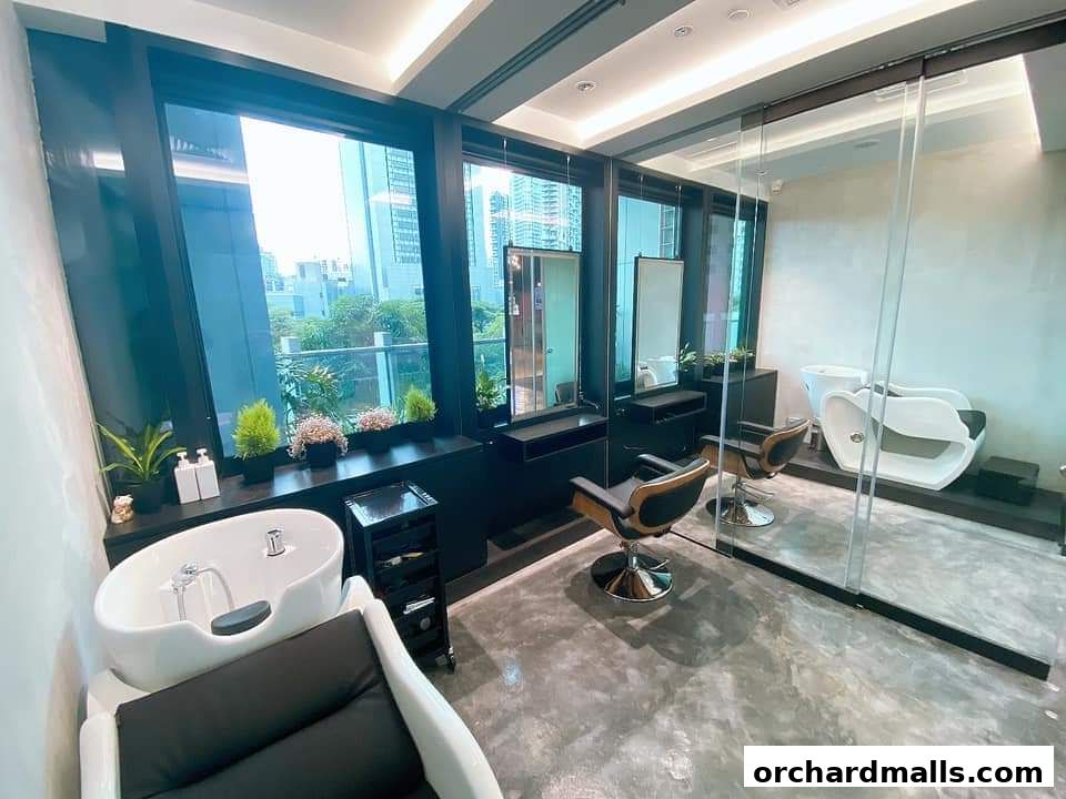 The Aesthetic Concierge