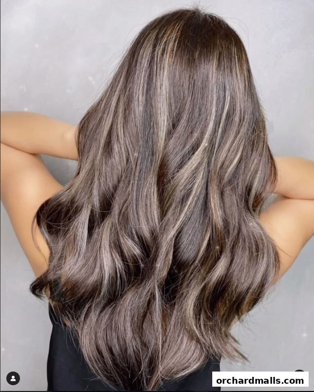 The Aesthetic Concierge