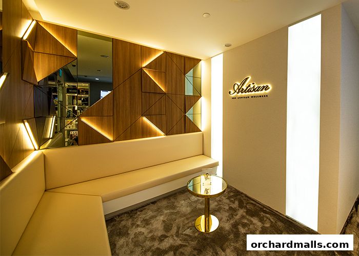 The Artisan Clinic  Paragon