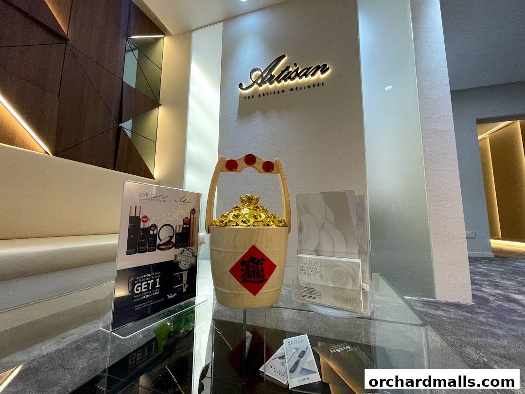 The Artisan Wellness - Body Contouring  Fat Loss  HIFU  Diastasis Recti Singapore