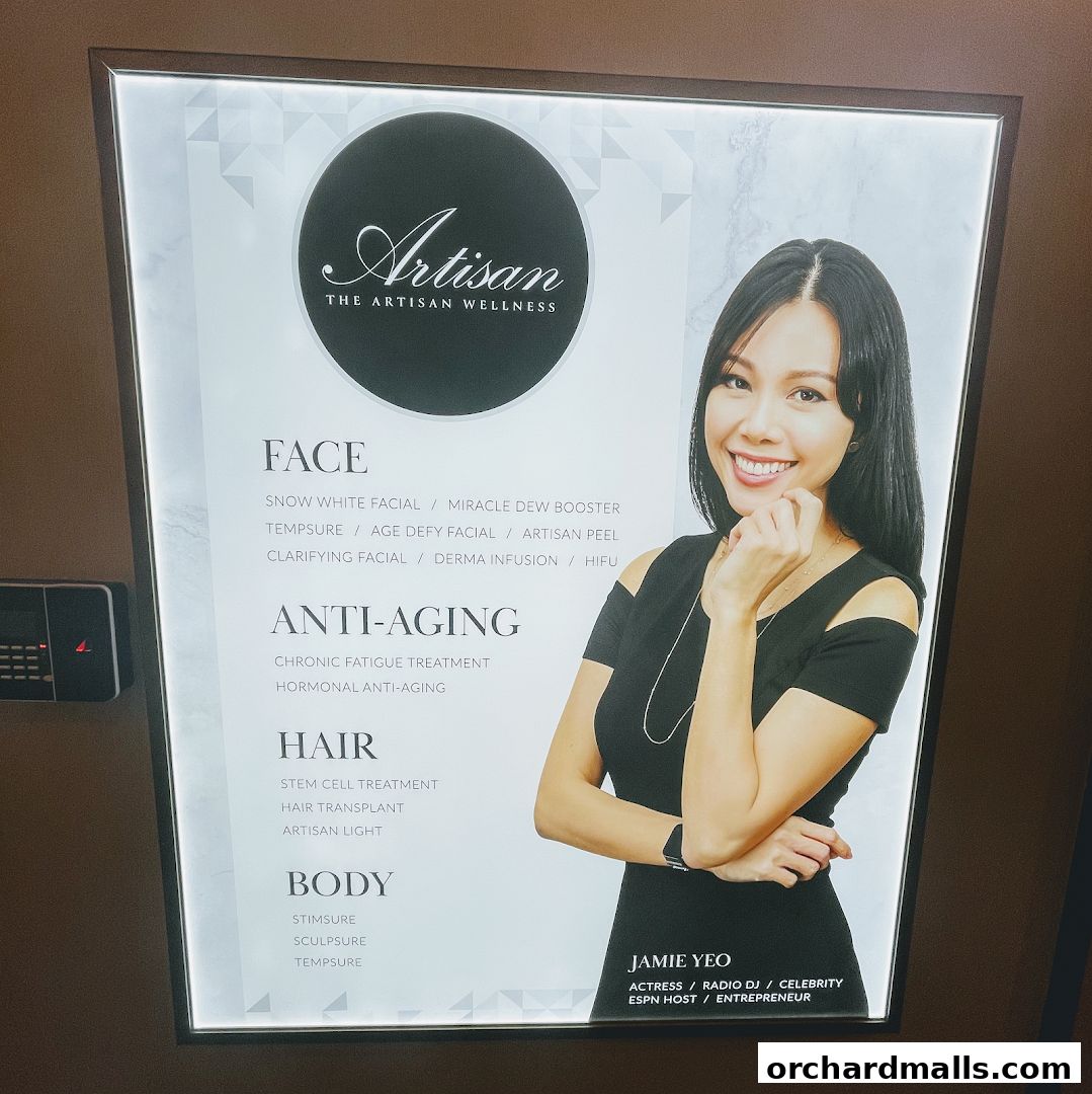 The Artisan Wellness - Body Contouring  Fat Loss  HIFU  Diastasis Recti Singapore