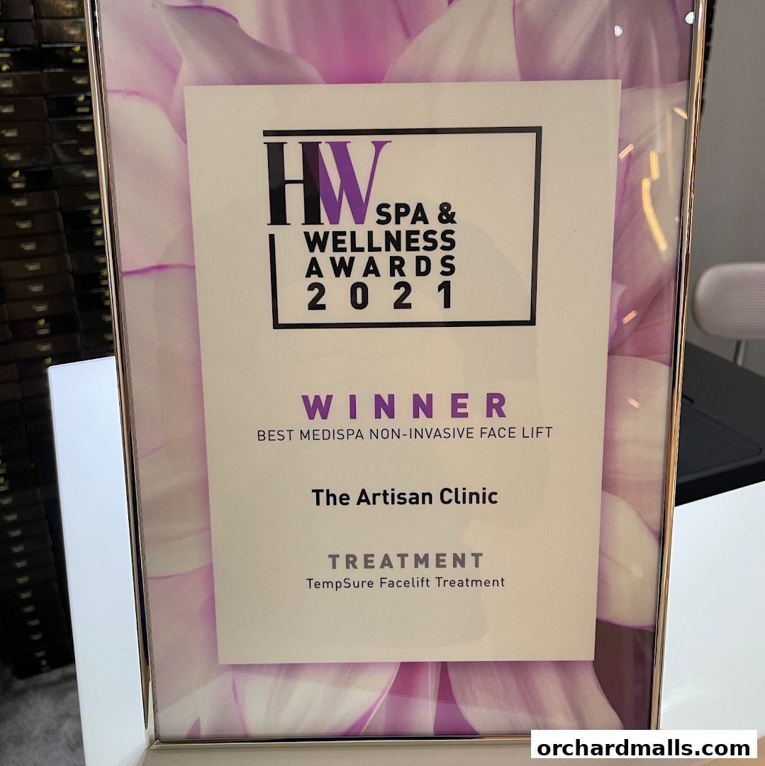 The Artisan Wellness - Body Contouring  Fat Loss  HIFU  Diastasis Recti Singapore