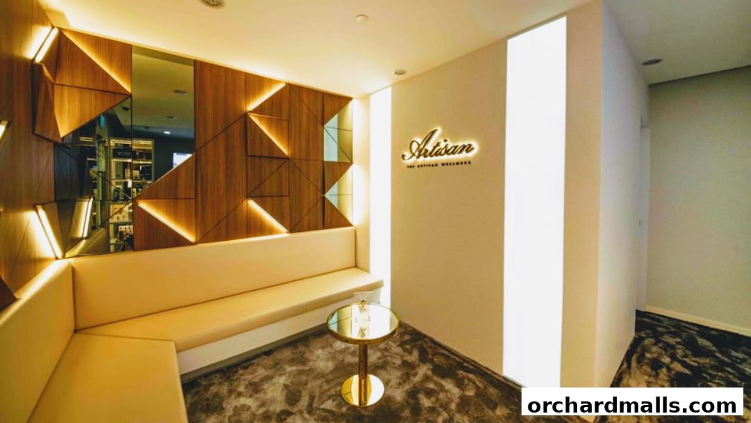 The Artisan Wellness - Body Contouring  Fat Loss  HIFU  Diastasis Recti Singapore