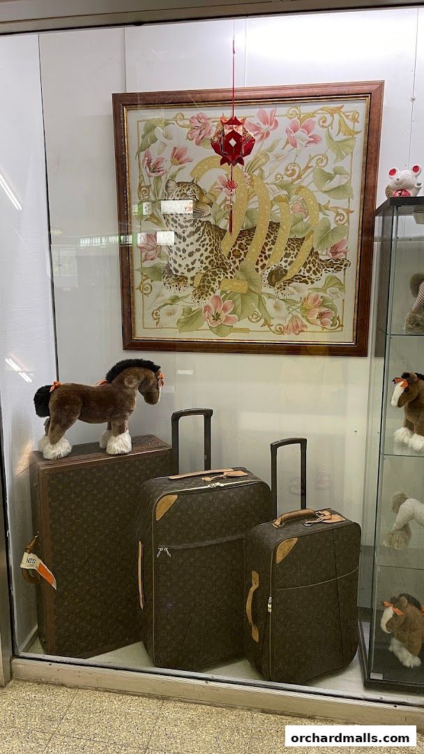 Shop window display featuring luggage, stuffed animals, and artwork.