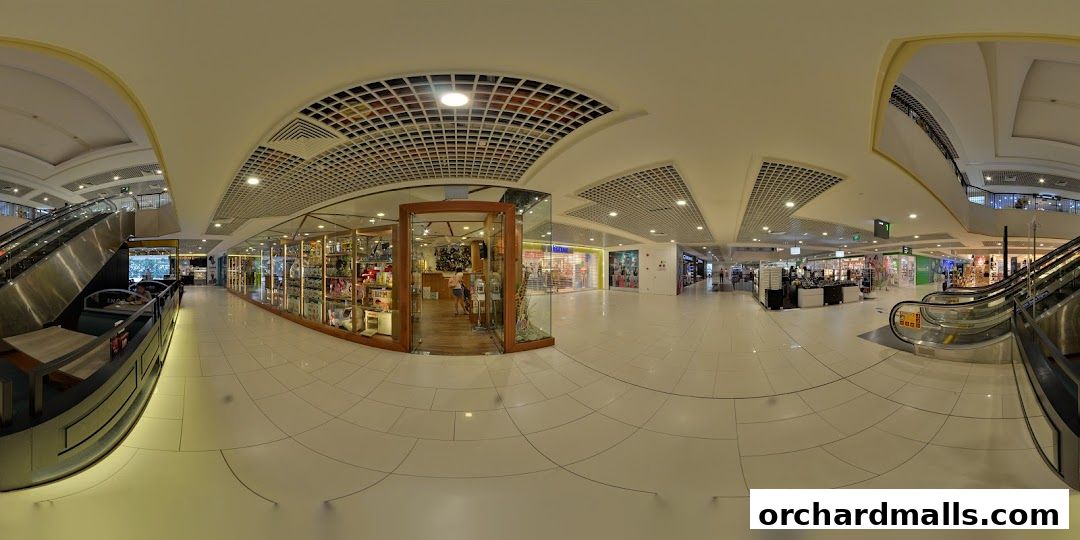 The Better Toy Store, Paragon